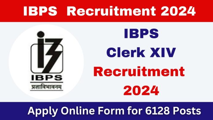 IBPS Clerk XIV Recruitment 2024